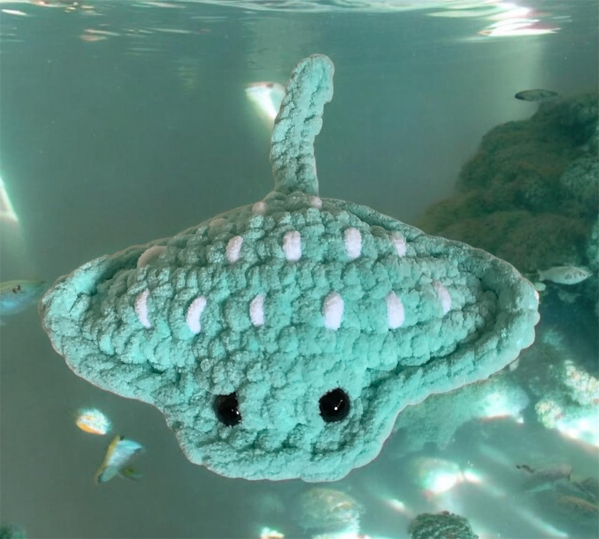 Stingray - mint