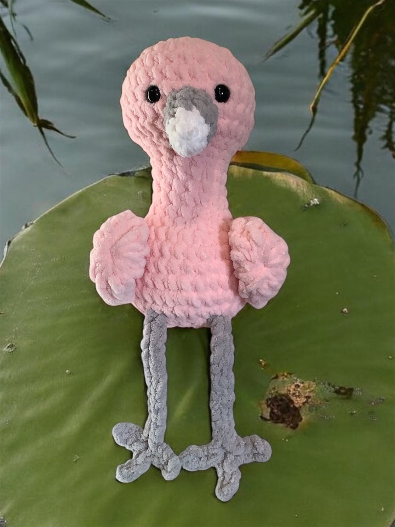 Pink flamingo